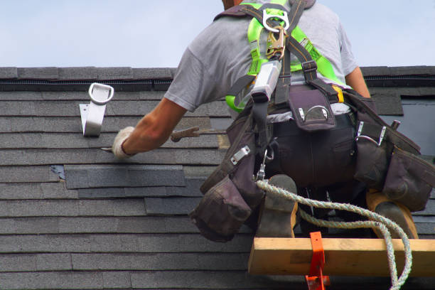 Affordable siding repair and maintenance services in Brush Prairie, WA