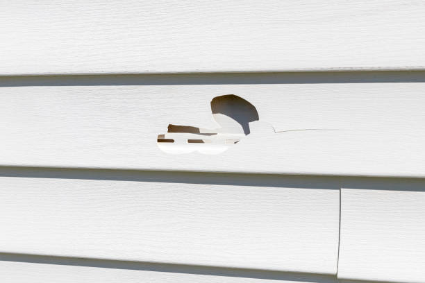 Affordable siding repair and maintenance services in Brush Prairie, WA