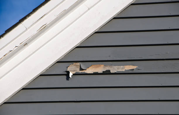 Best Steel Siding Installation  in Brush Prairie, WA