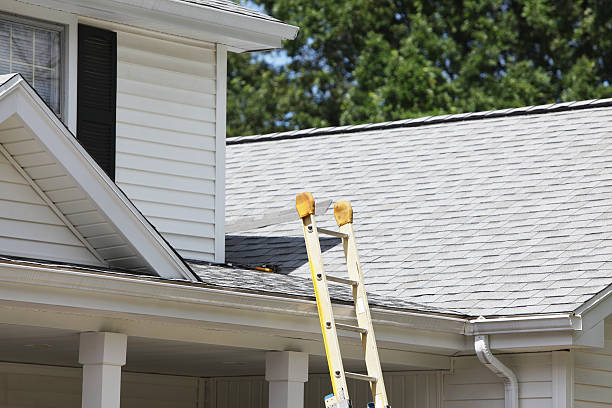 Best Custom Siding Design  in Brush Prairie, WA